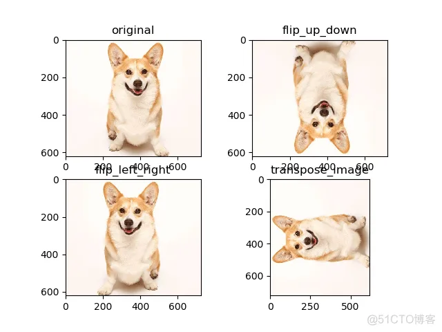 Java 使用 TensorFlow 来实现图像的超分辨率 tensorflow图像处理_插值法_02